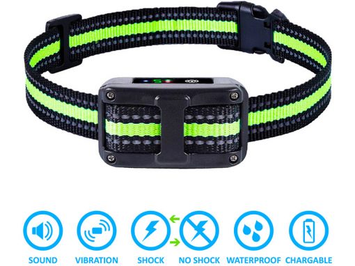 Bark Collar Photos for Amazon Listing